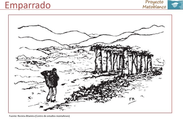 Matoblanco Chacoli de Cueto