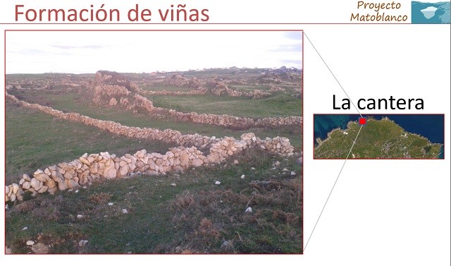 Matoblanco Chacoli de Cueto