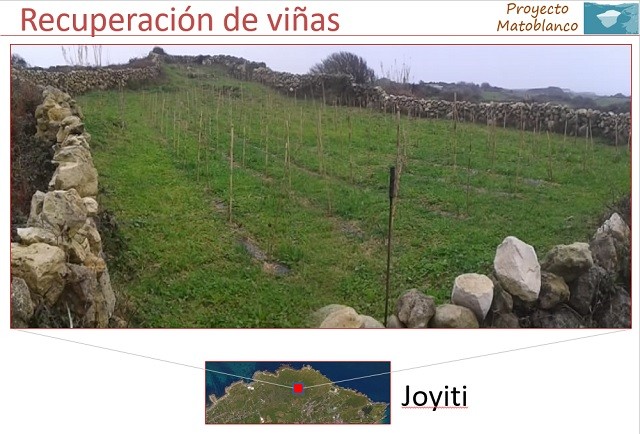 Matoblanco Chacoli de Cueto