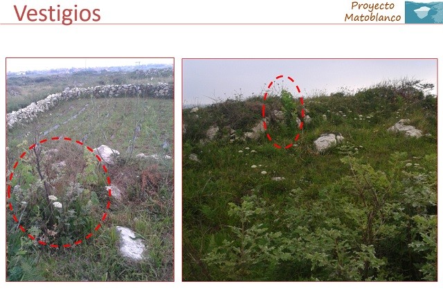Matoblanco Chacoli de Cueto