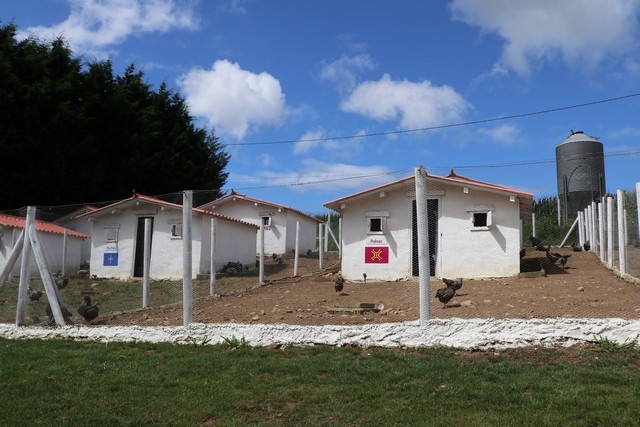 2018 08 cabanuca 001