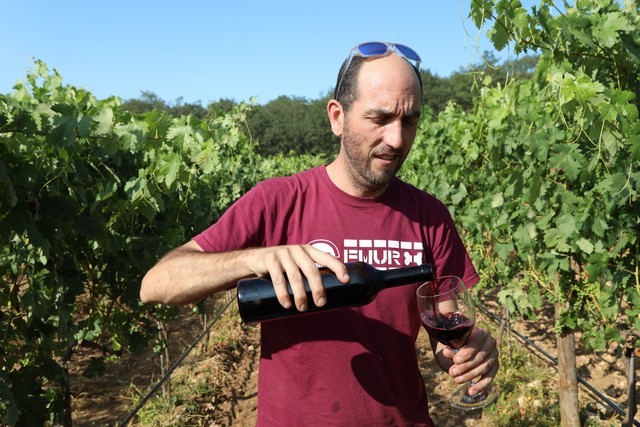 Bodegas Cantabria Camesía