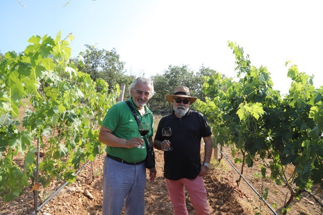 Bodegas Cantabria Camesía