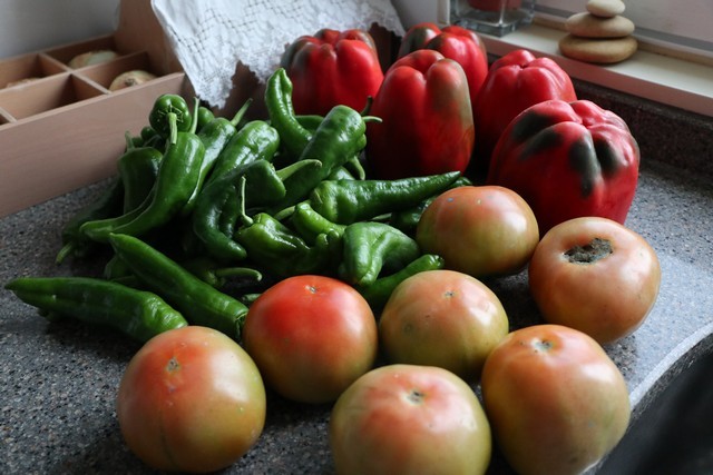 VI Feria del Pimiento de Isla