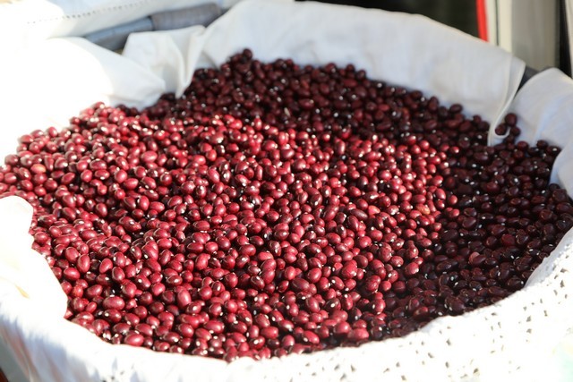 VI Feria del Pimiento de Isla