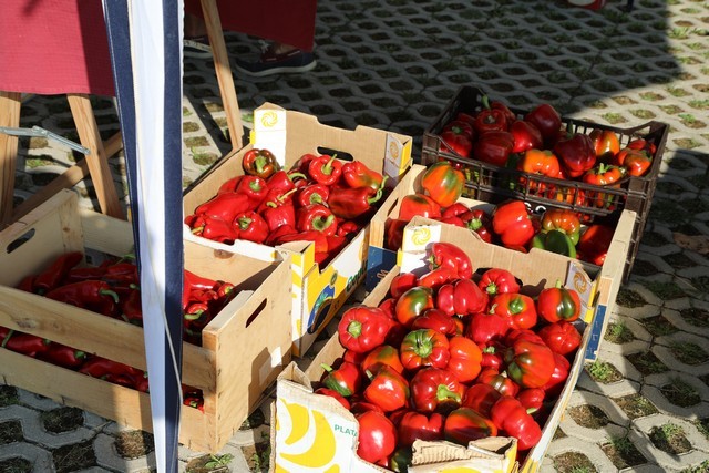VI Feria del Pimiento de Isla