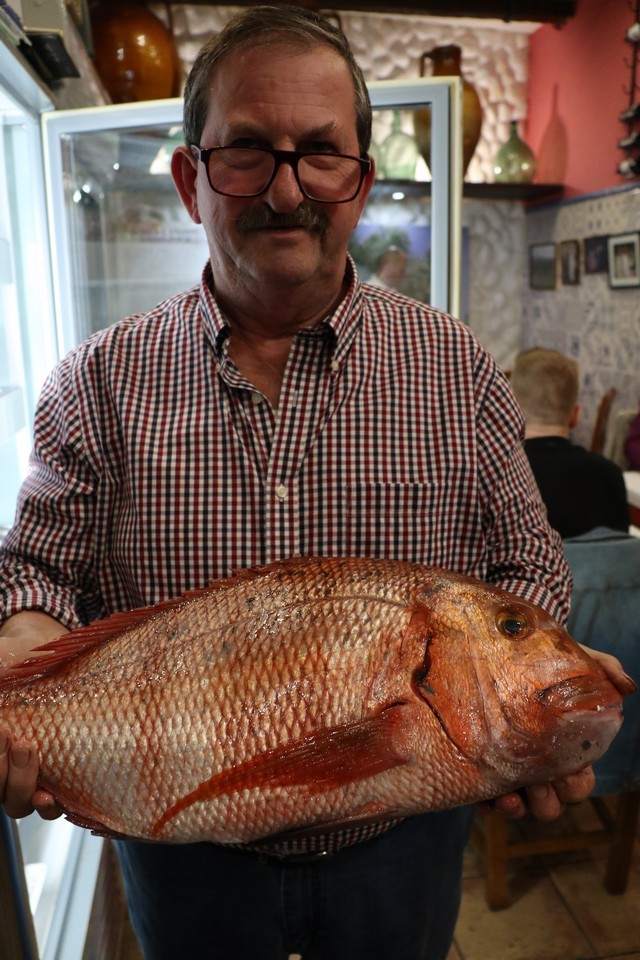 Meson Mariano Malaga
