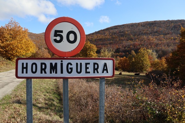 Casa Tin Hormiguera