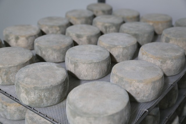 2019 01 cueva santa 640 001
