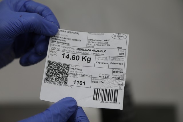 2019 03 alalunga 640 001