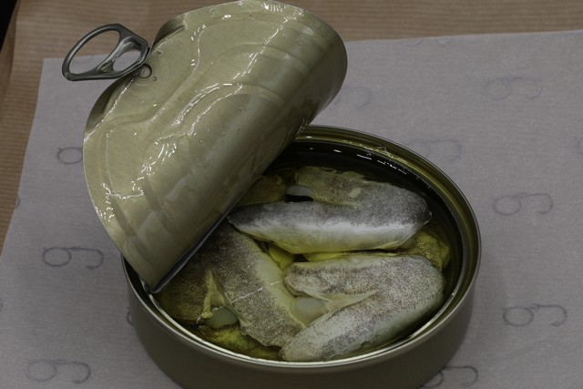 2019 03 alalunga 640 001