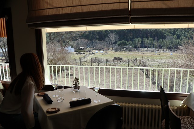 Soria Restaurante La Lobita