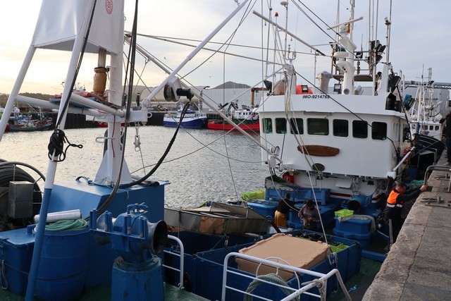 2019 04 bocartes 001