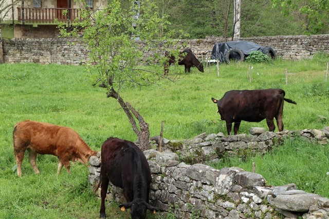 2019 04 feria sobao ff 001