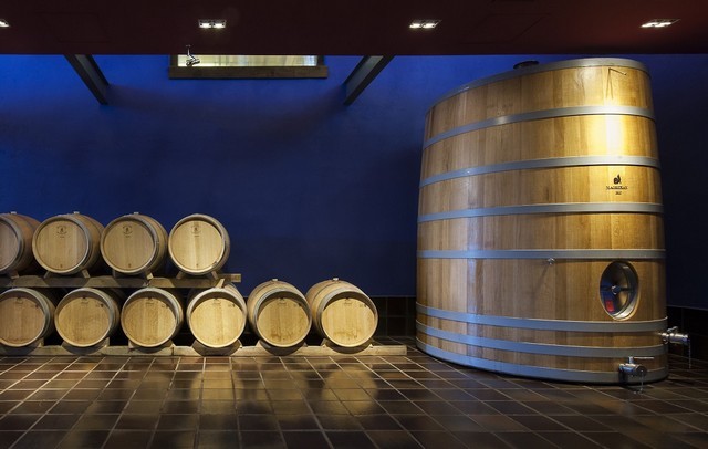 2019 05 bodegas orgaz 010 mulecarajonero
