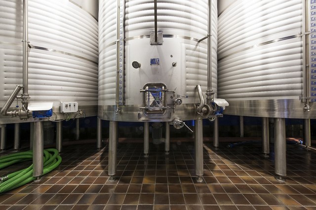 2019 05 bodegas orgaz 011 mulecarajonero