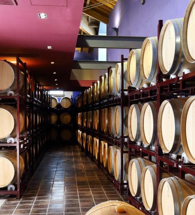 2019 05 bodegas orgaz 012 mulecarajonero