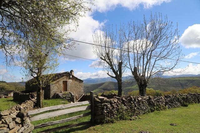 2019 05 queseria tiemblos 001 mulecarajonero