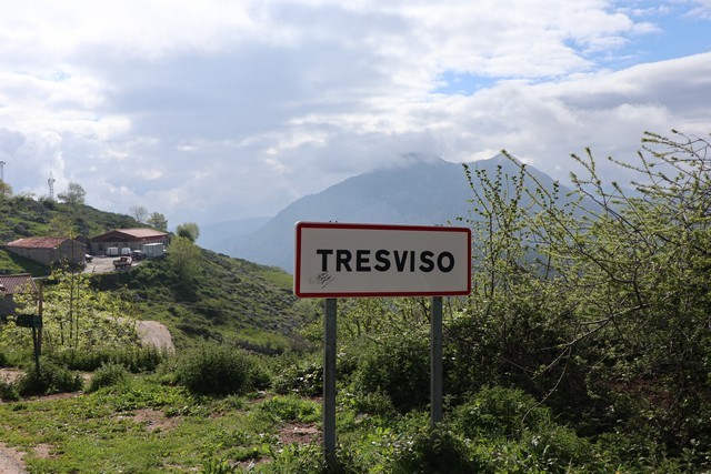 2019 06 queseria campo tresviso 001 mulecarajonero