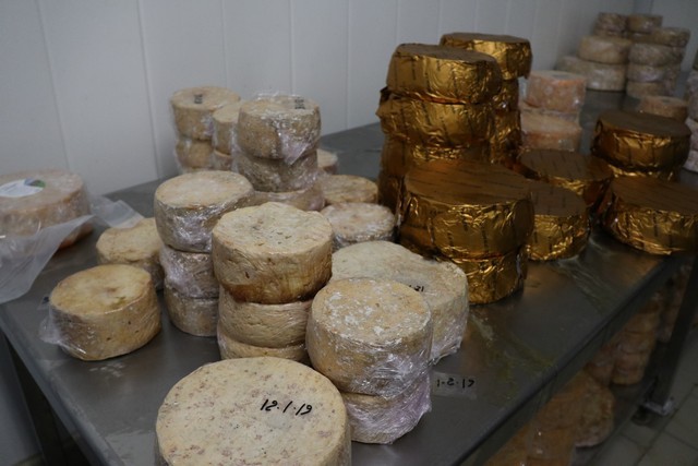 2019 06 queseria campo tresviso 001 mulecarajonero