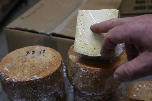 2019 06 queseria campo tresviso 001 mulecarajonero
