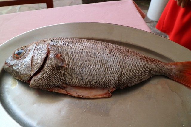Marisqueria Adolfo Comillas Besugo Fresco