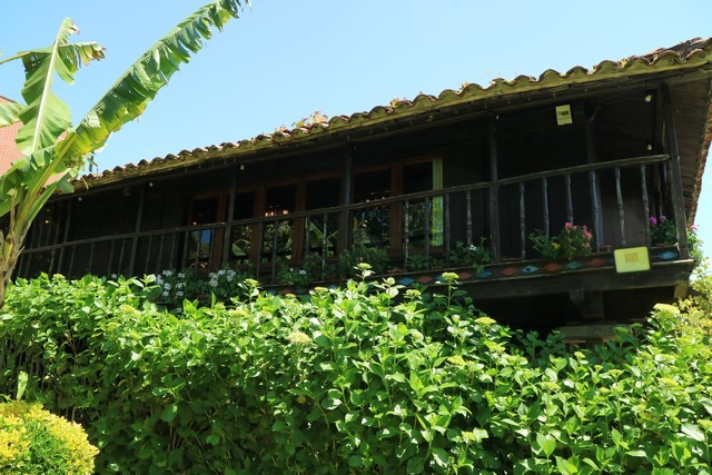 2019 06 querida margarita 001 mulecarajonero