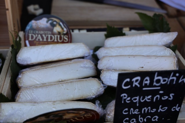 XXV Feria Internacional del Queso Artesano de Pesquera