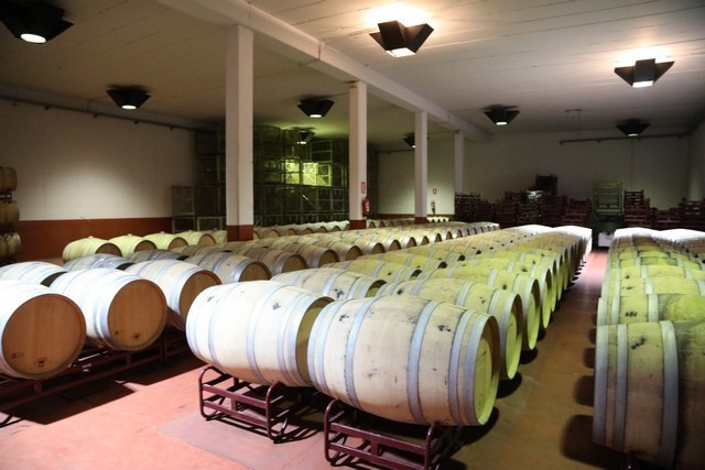 2019 08 castelo m 001 mulecarajonero