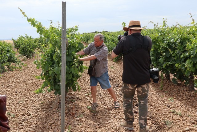 2019 08 castelo m 001 mulecarajonero