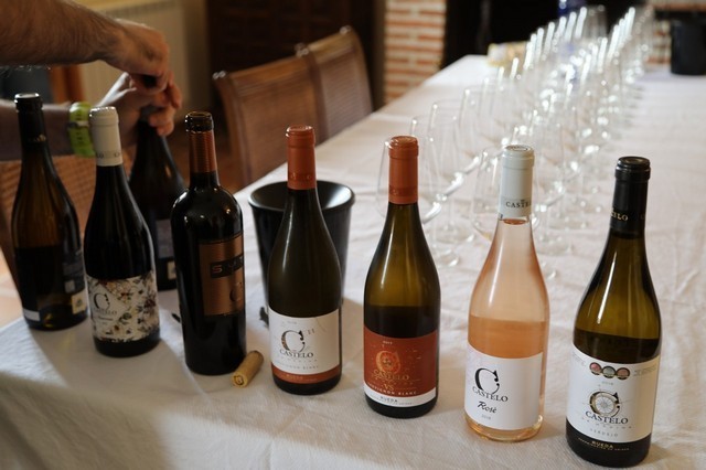 2019 08 castelo m 001 mulecarajonero