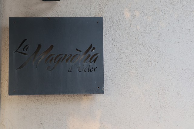 2019 08 magnolia mulecarajonero 001