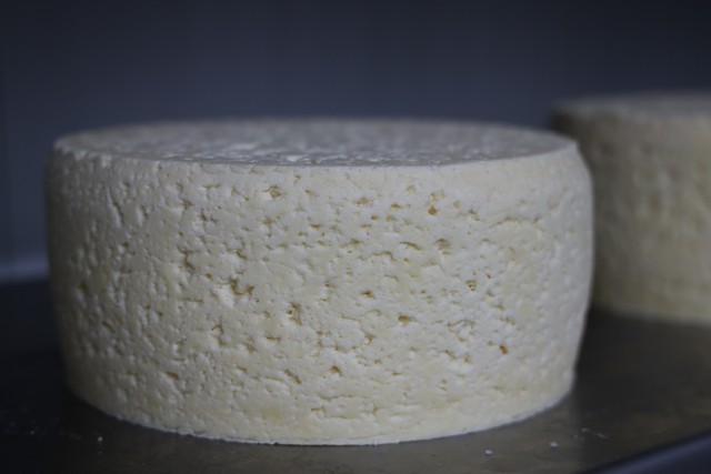 2019 09 queseria corvera 001 mulecarajonero