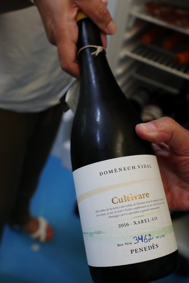 2019 12 mulecarajonero cabeza blanco 001