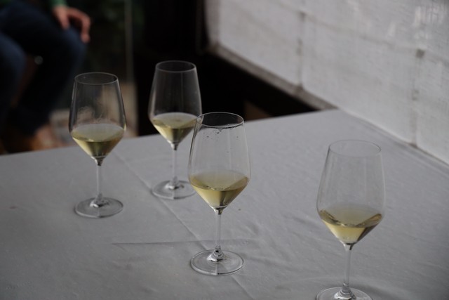 2019 11 montesquis 001 mulecarajonero