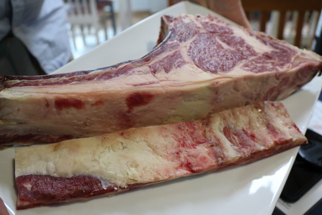 2019 08 pericote 001 mulecarajonero