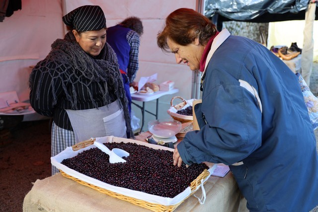 2019 11 mulecarajonero casar 001