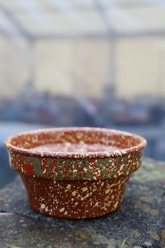 2019 11 mulecarajonero casar 001
