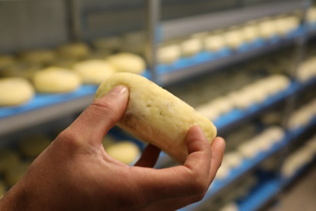 2019 12 mulecarajonero jarradilla 001