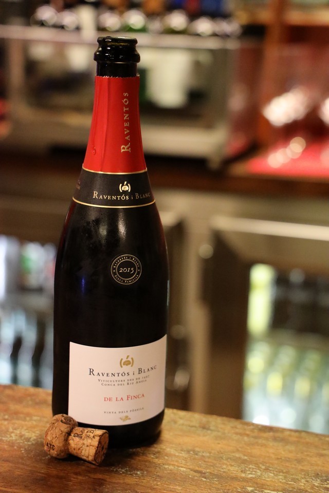 2019 11 cofino 002 mulecarajonero