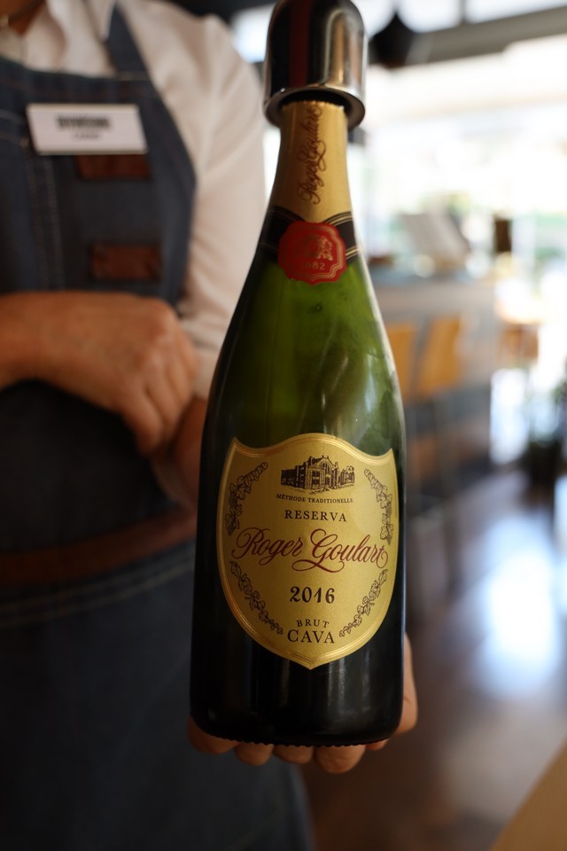 2019 11 divinissiomo 001 mulecarajonero