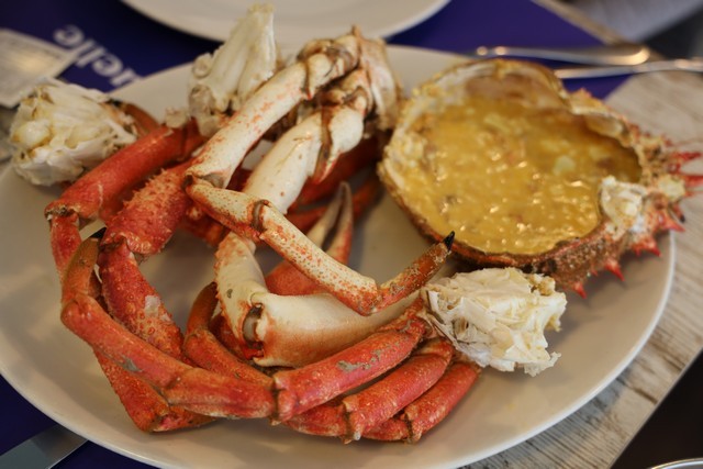 2019 12 mulecarajonero muelle 001