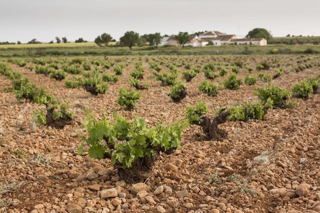 atencia 2013 001