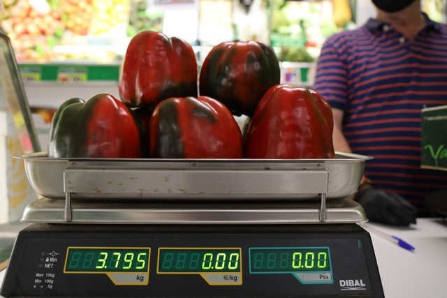 Pimiento de isla de Galo