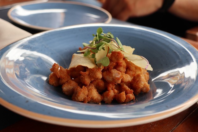 2020 08 pericote 001