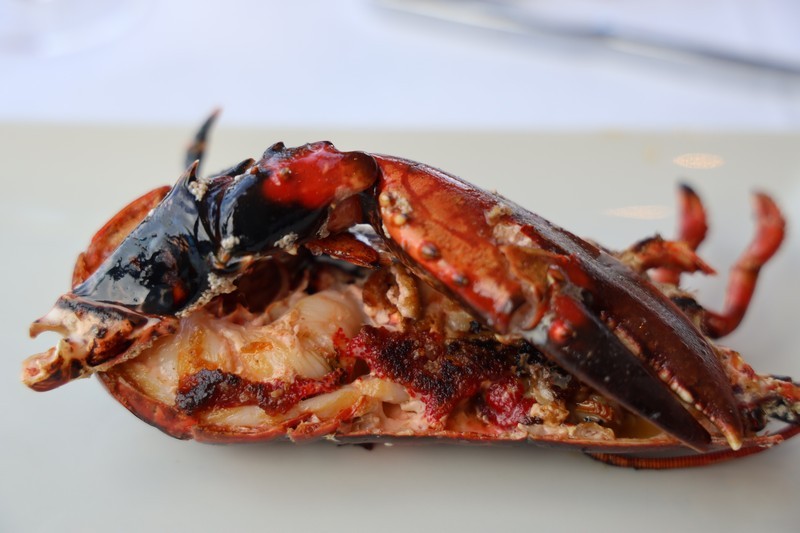 2020 10 bogavante juan 001