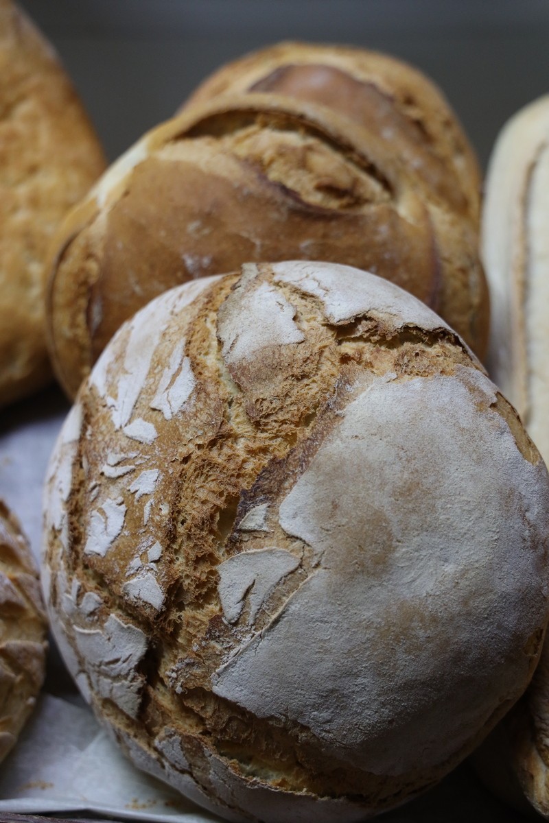 Panaderia Dobrapan