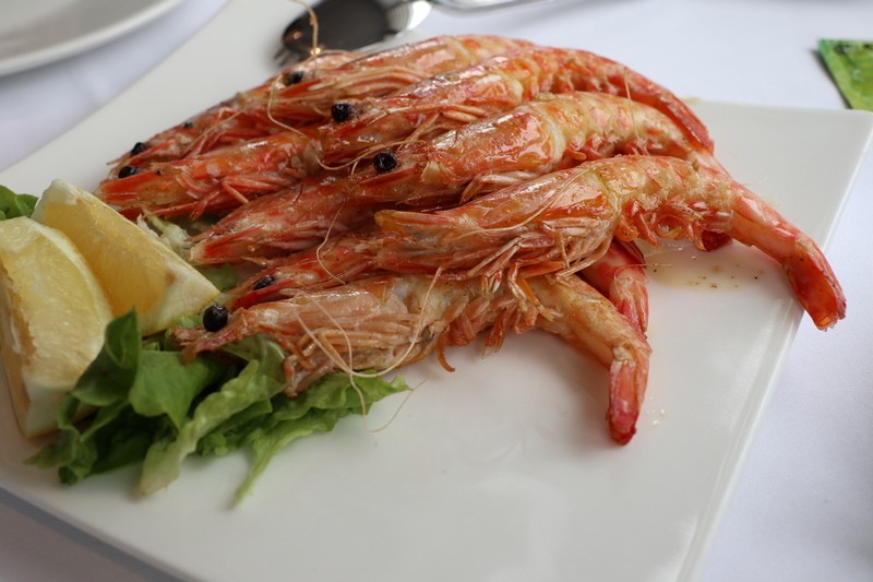 Palmanova Laredo
