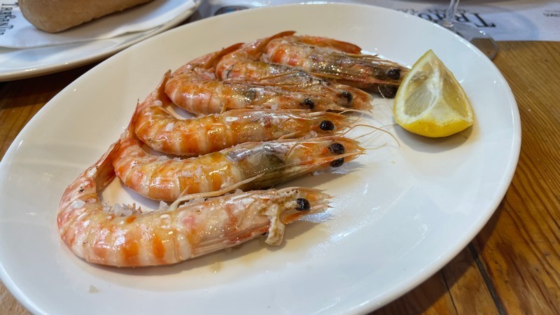 Tragantua