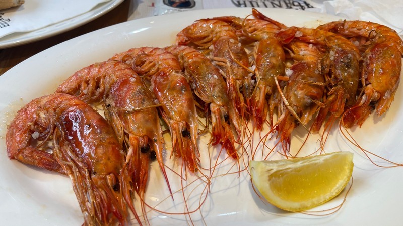 Tragantua